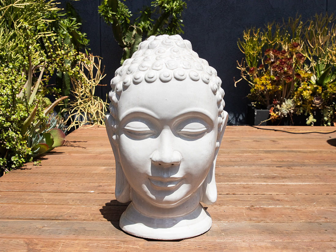 Buddha Head By Plantatorem