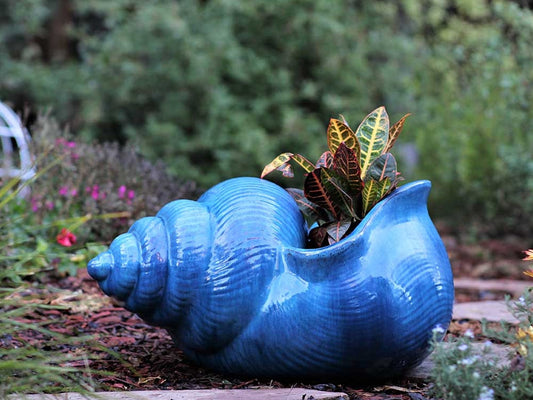 Shell Planter By Plantatorem