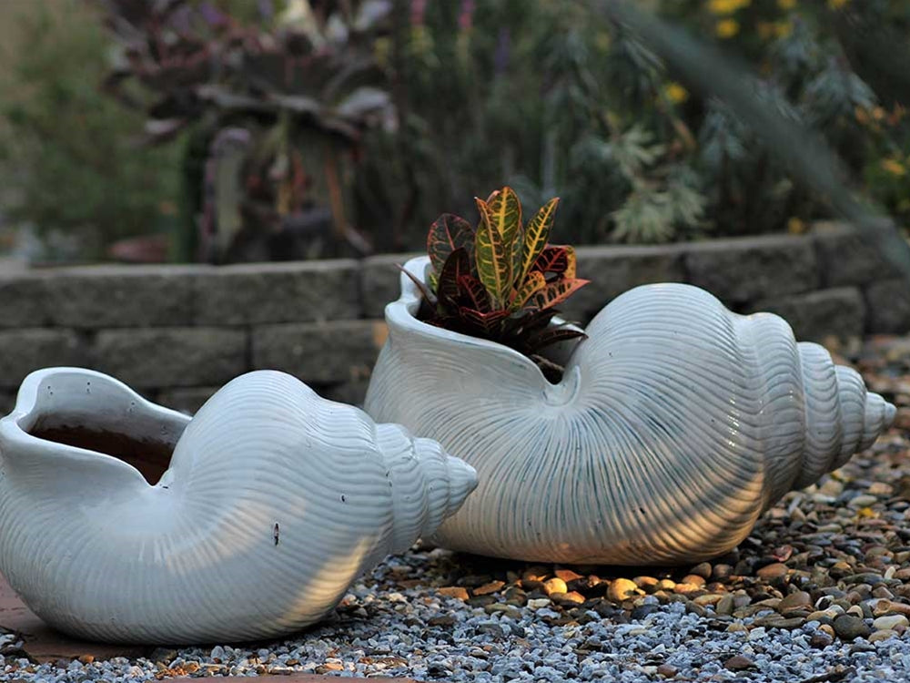 Shell Planter By Plantatorem