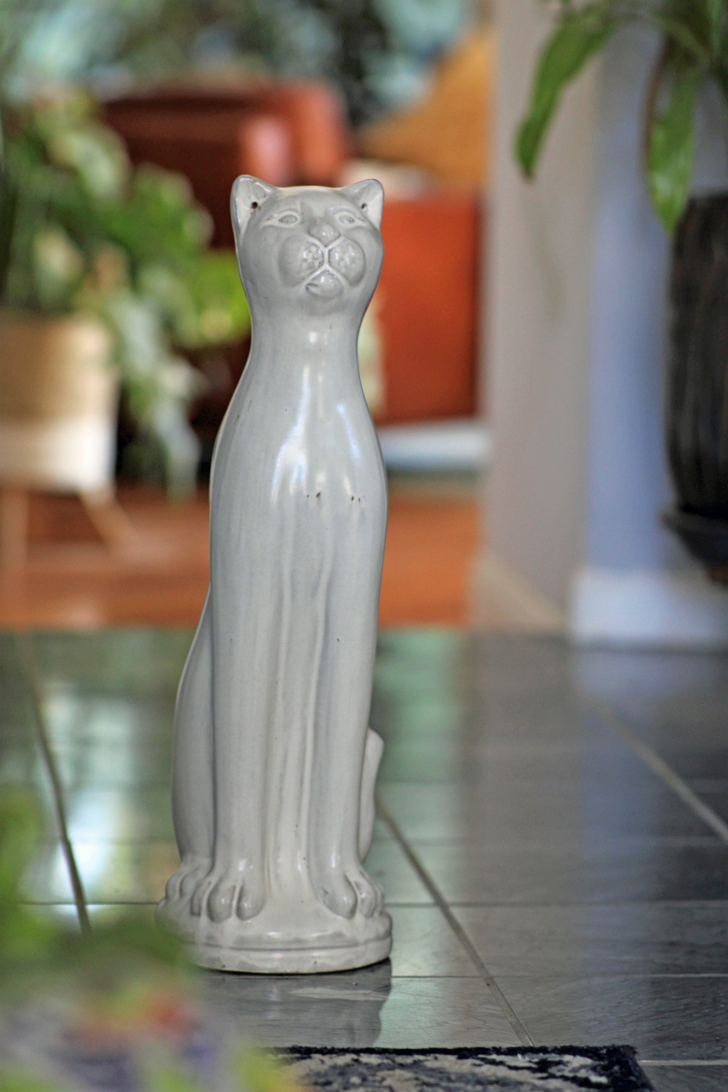 Standing Cat By Plantatorem