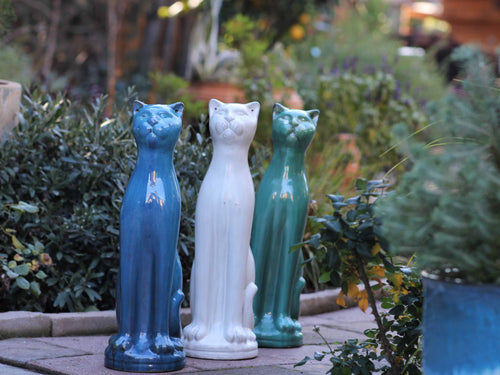 Standing Cat By Plantatorem