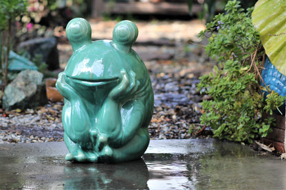 Thinking Frog By Plantatorem