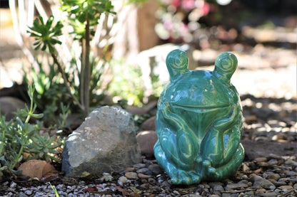 Thinking Frog By Plantatorem